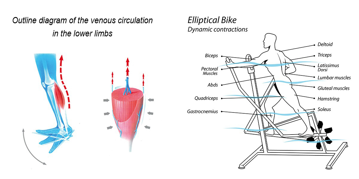 schema elliptical bike archimède/jointecfrance