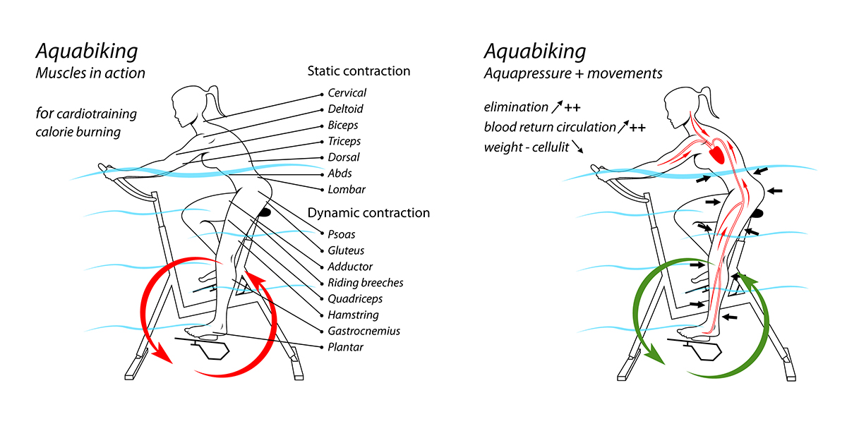schema aquabike archimède/jointecfrance
