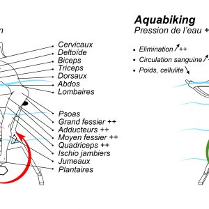Diagram of the advantages of Aqua spinning