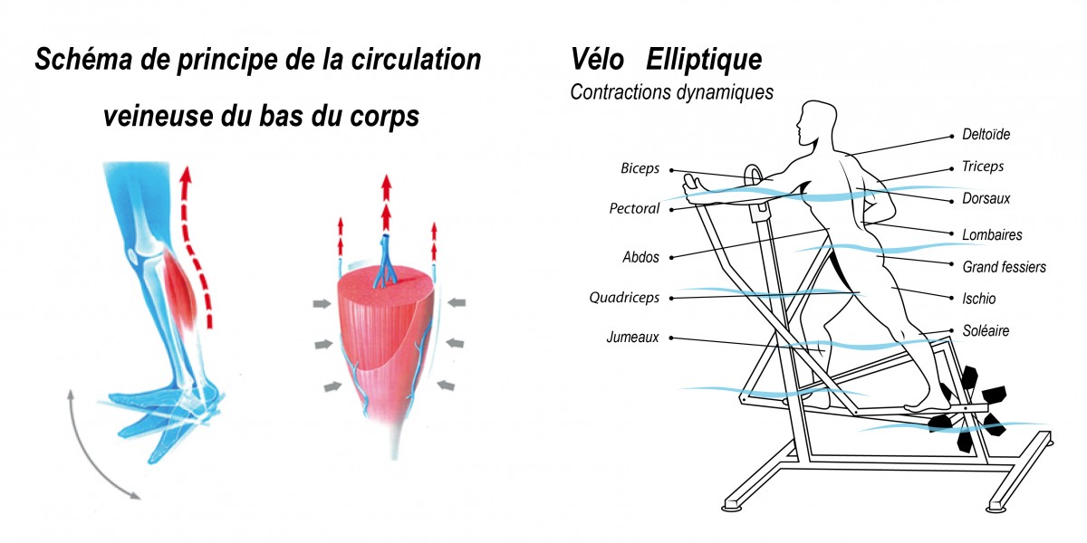 Schémas vélos elliptique
